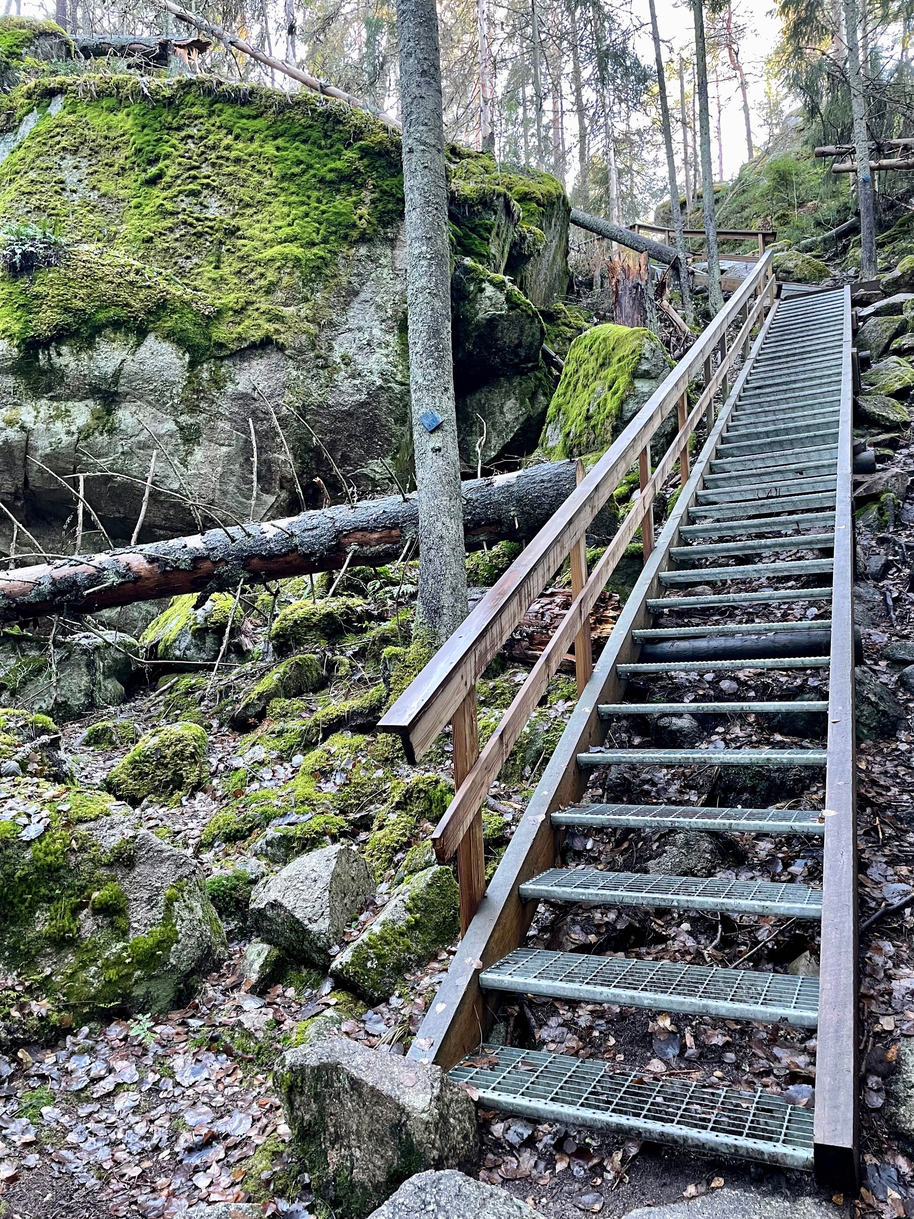 Nuuksio national park