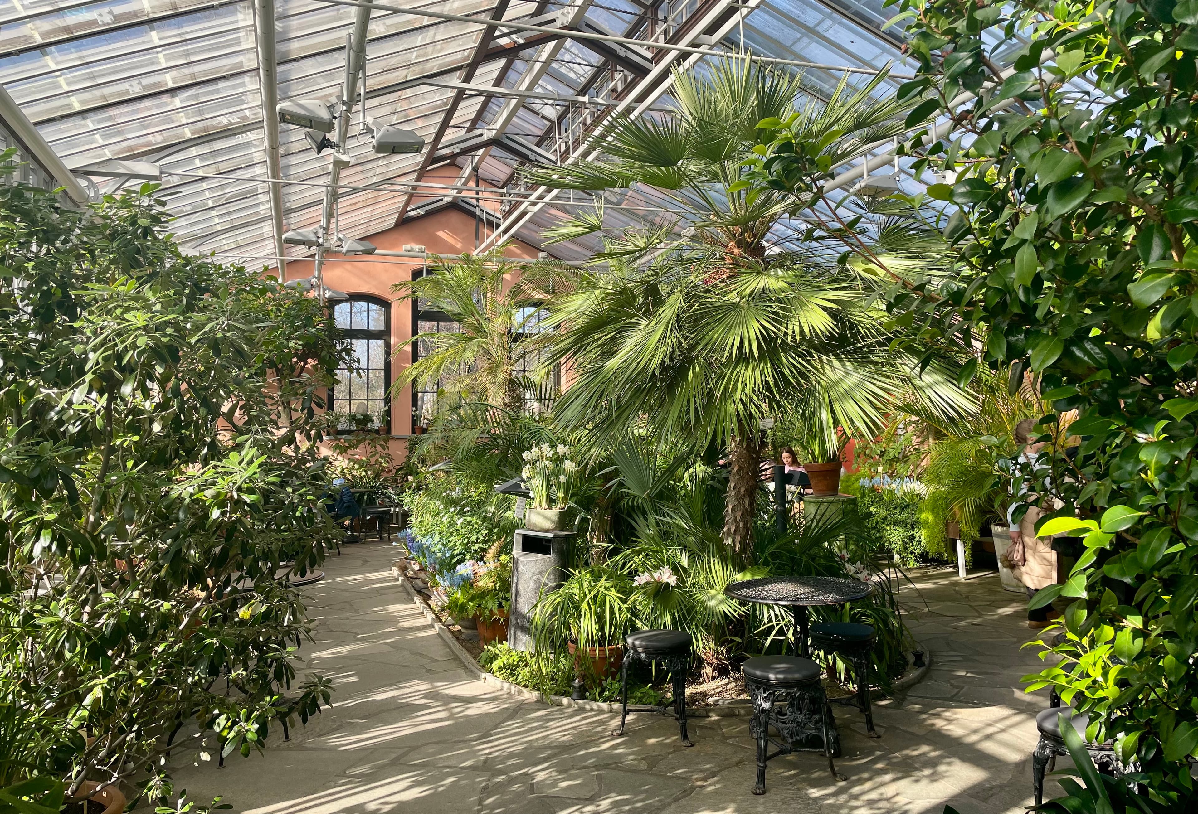 Winter Garden in Helsinki