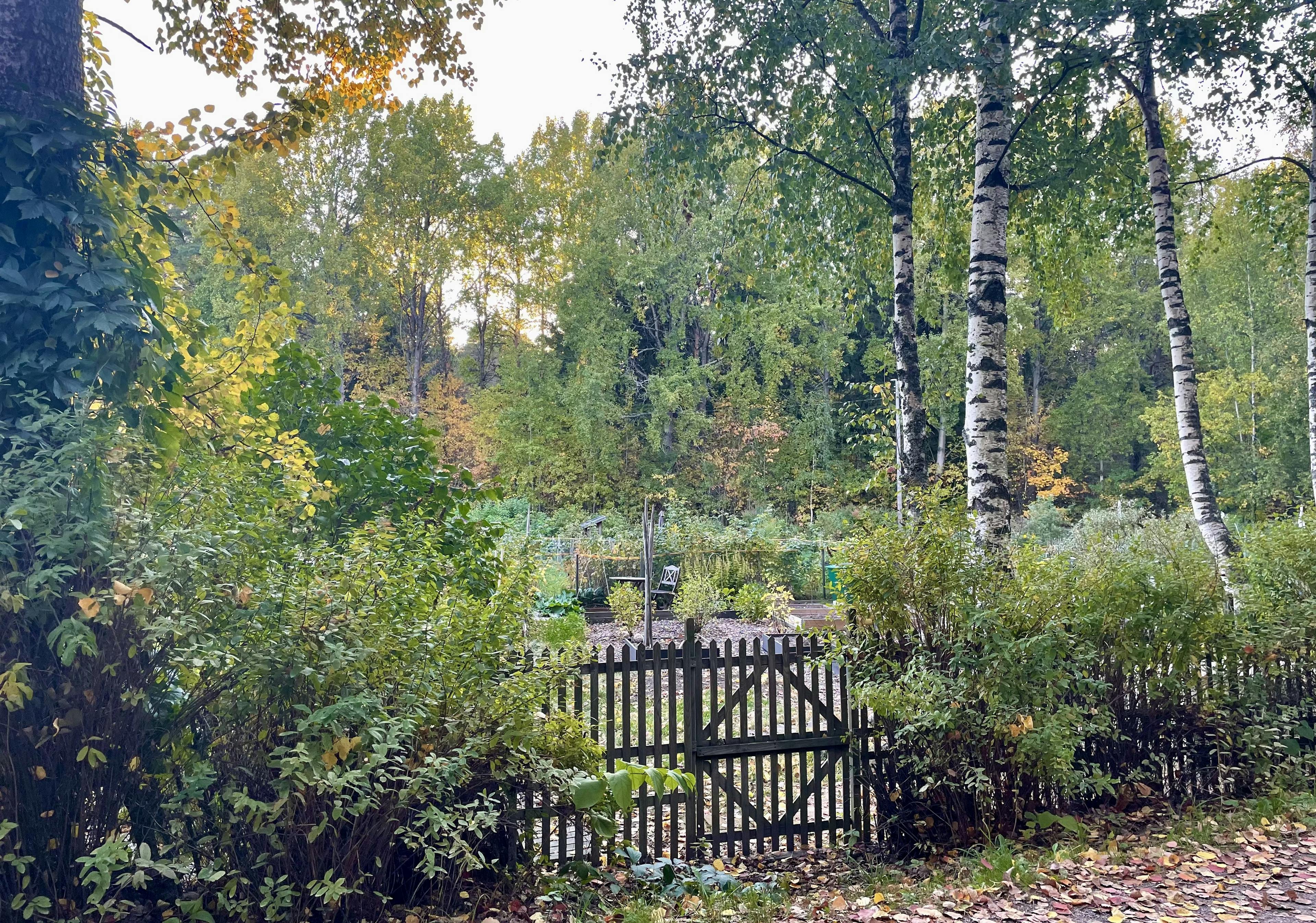 A view from the Keskuspuisto park in Helsinki